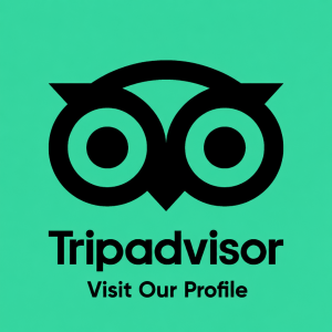 Tripadvisor Visit Our Profile